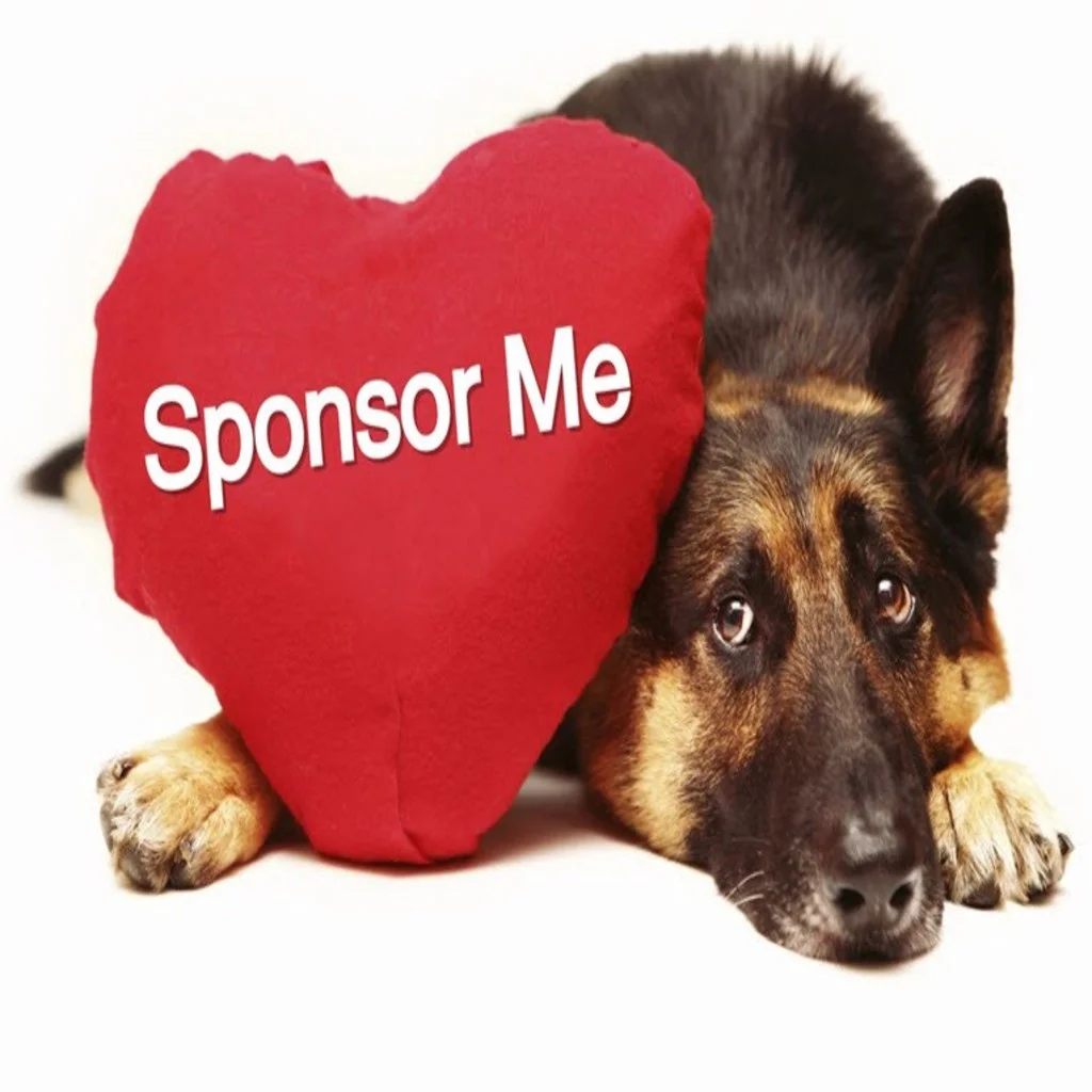 Sponsorpet_1_1024x1024 sponsorpet_1_1024x1024