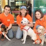 volunteers dogs