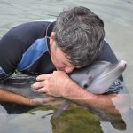 dolphin rescue hsm