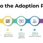 adoption-process