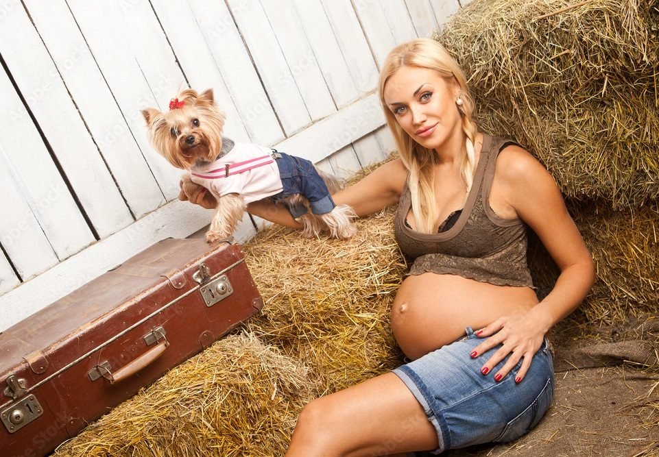 pregnant woman dog